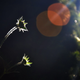 Illustration for article titled Shooting Challenge: Lens Flare Gallery Part Two